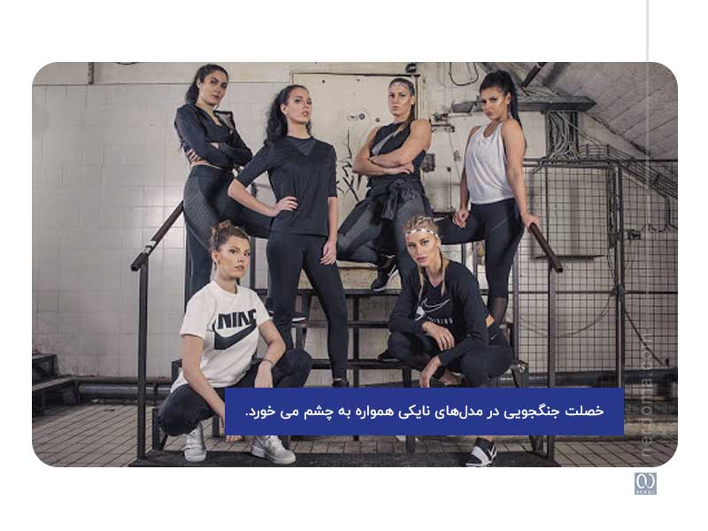 آرکتایپ قهرمان یا جنگجو یا Hero/Warior در برند
